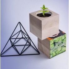 Набор Flora Cube для выращивания Фиалка, Экокуб из дерева фиолетовый (931)