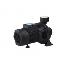 Насос поверхностный поливочный Pumpman TGA1C Нmax 15м Qmax 30куб.м 2