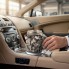 Кружка-двигатель V8 металлический вид подарок автолюбителю 27